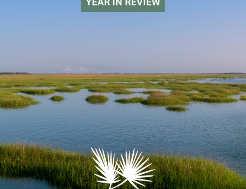 Golden Isles Development Authority 2023-24 Year in Review: A Year of Growth and Innovation