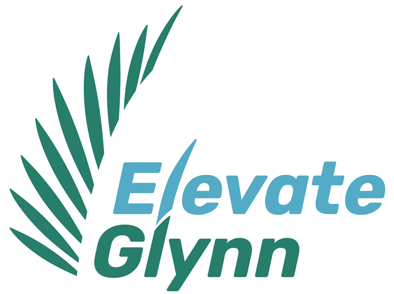elevate-glynn Logo with green palm frond next to the words Elevate Glynn in blue and green, featuring a palm leaf forming the letter v in Elevate—ideal for a loan service aiming to uplift the community.